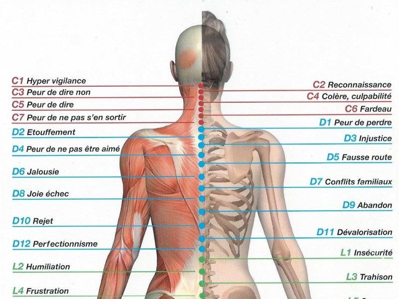 Langage émotionnel du&nbsp;corps